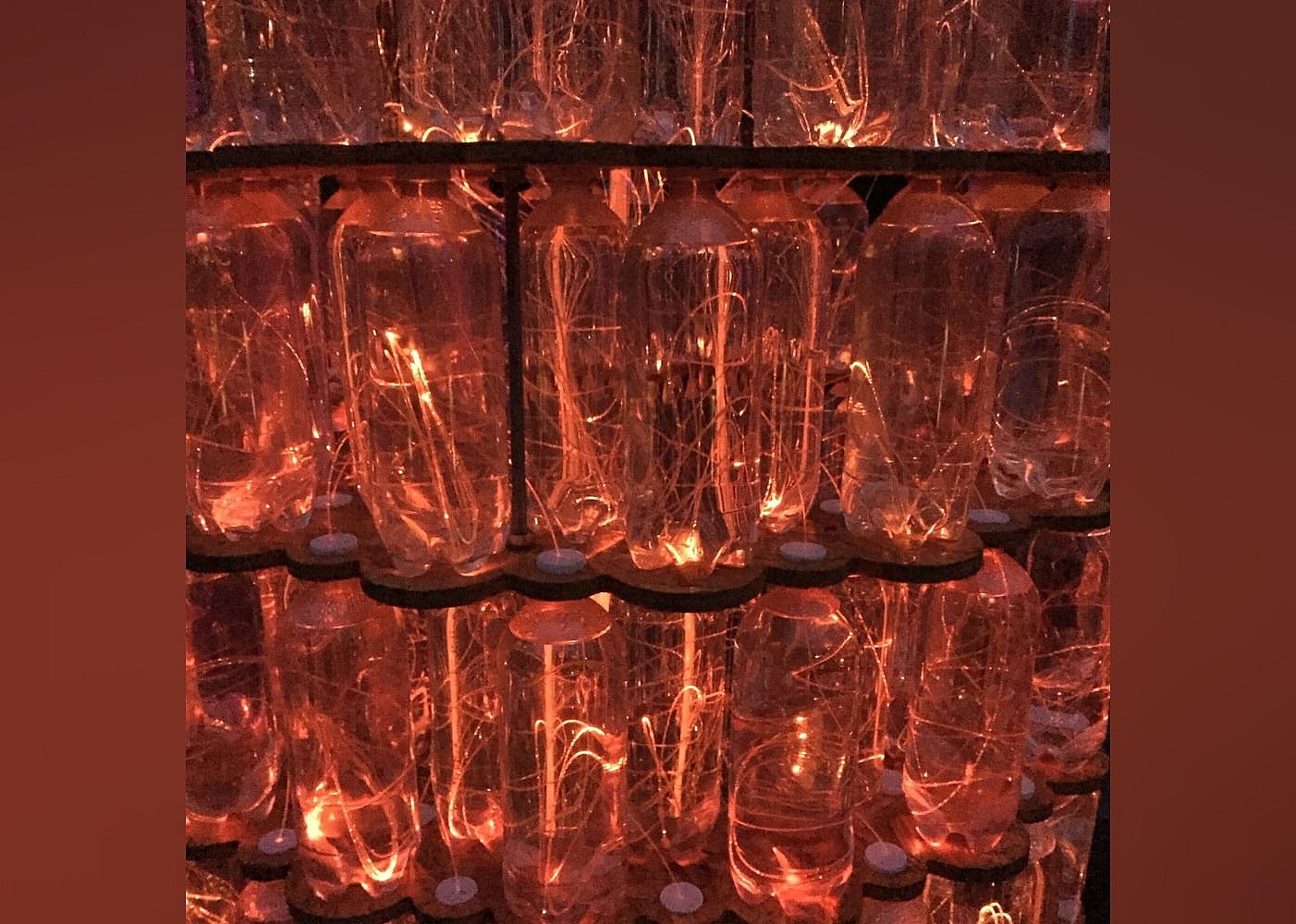Botanical Gardens: Bruce Munro: Light In the Garden
