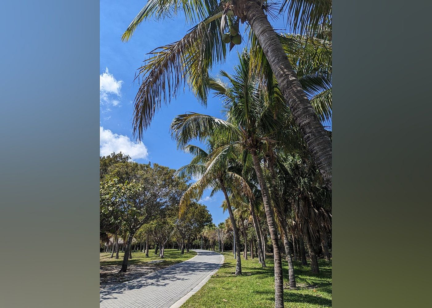 #1. Peanut Island Park