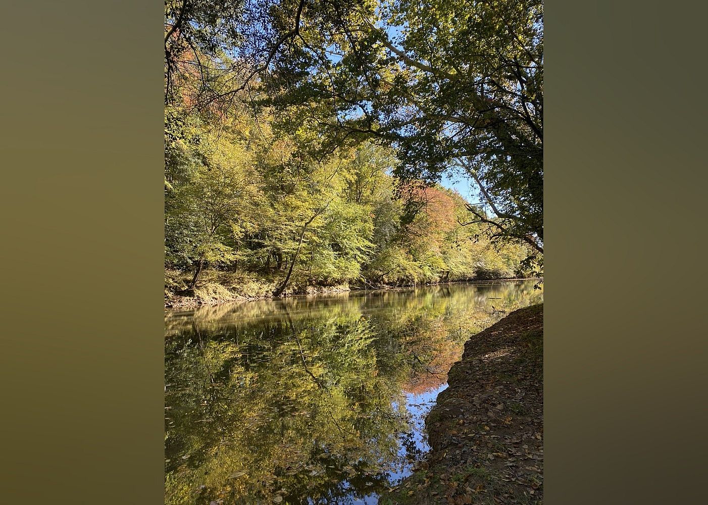 #1. Tar River Life