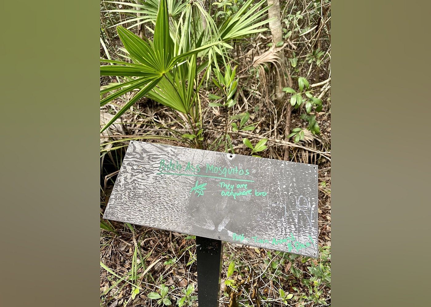 #1. Everglades National Park
