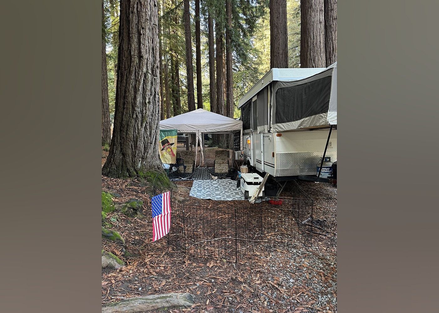 #14. Santa Cruz Redwoods RV Resort