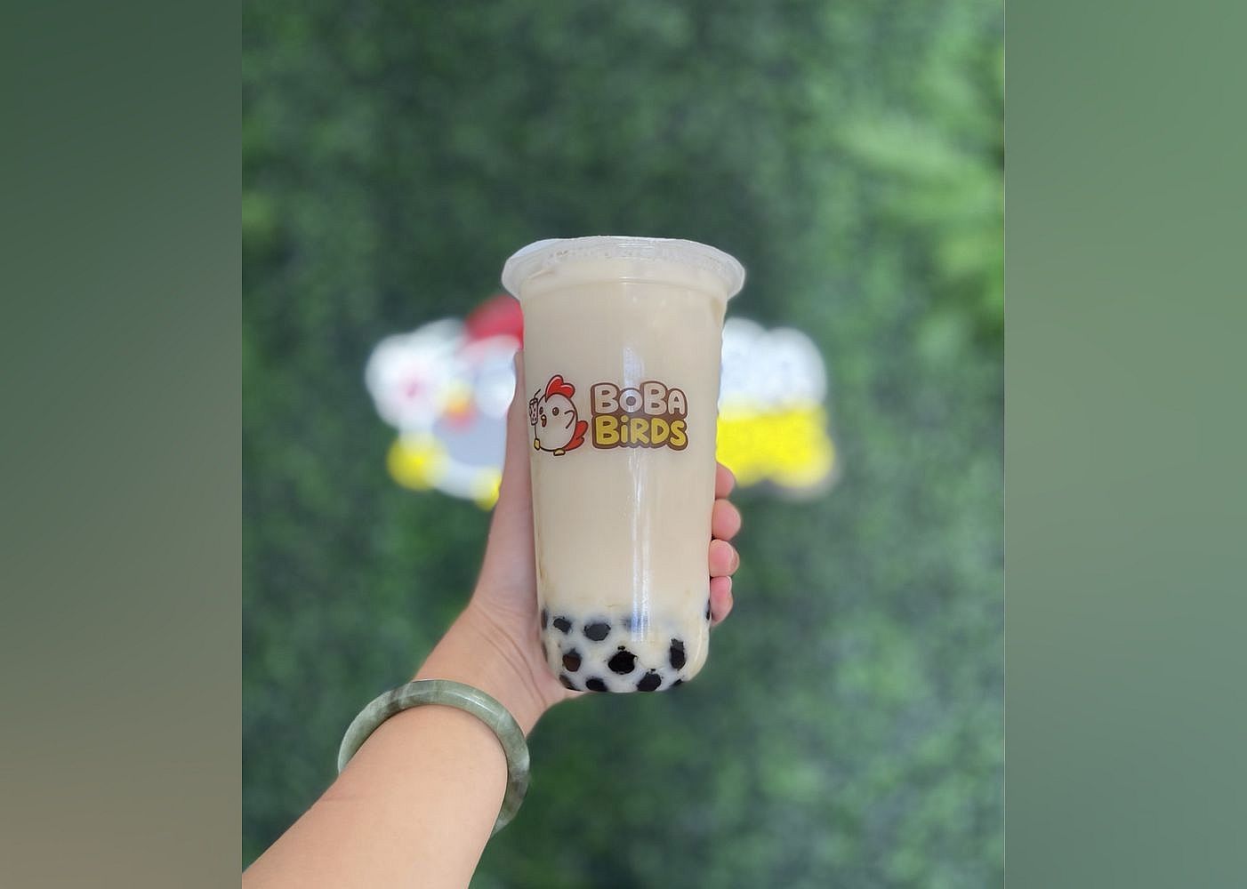 #3. Boba Birds