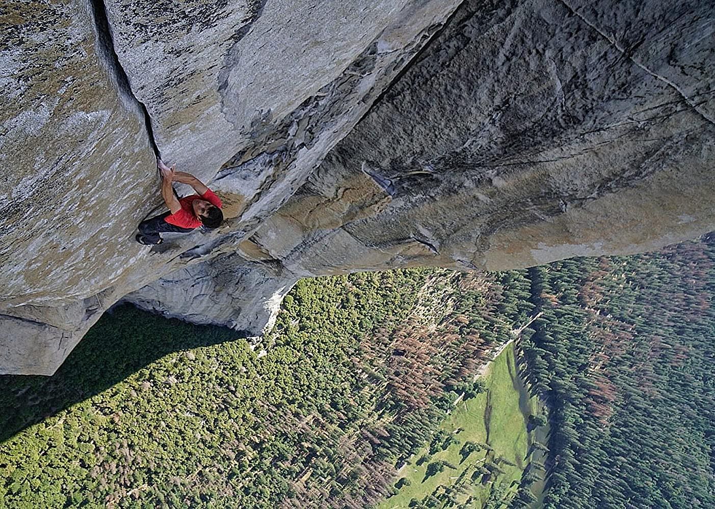 #19. Free Solo (2018)