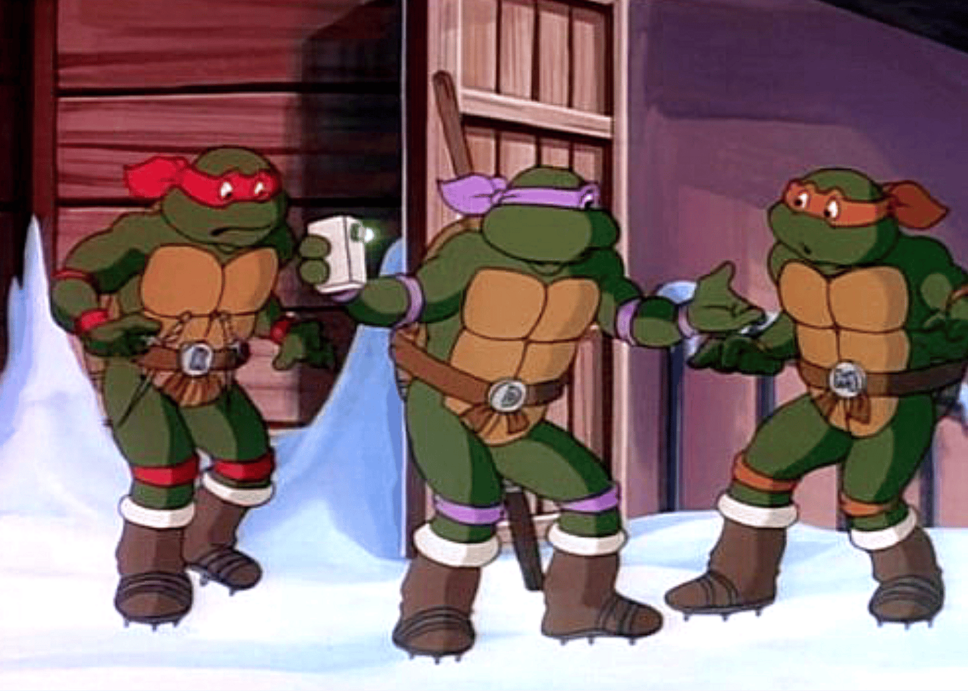 #16. Teenage Mutant Ninja Turtles