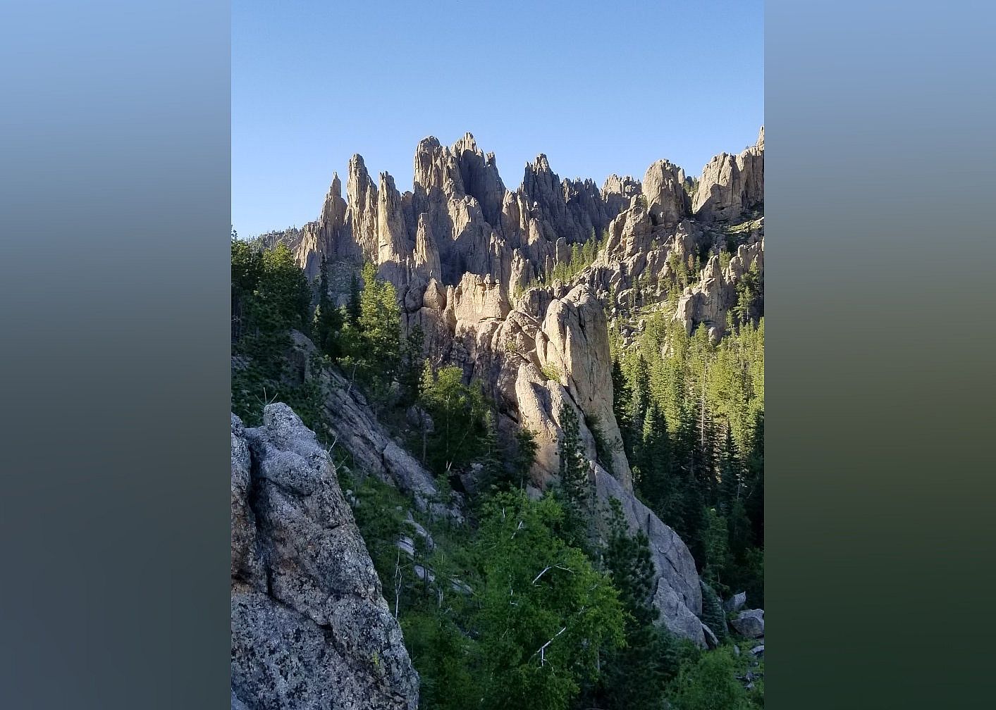 #29. Black Hills National Forest