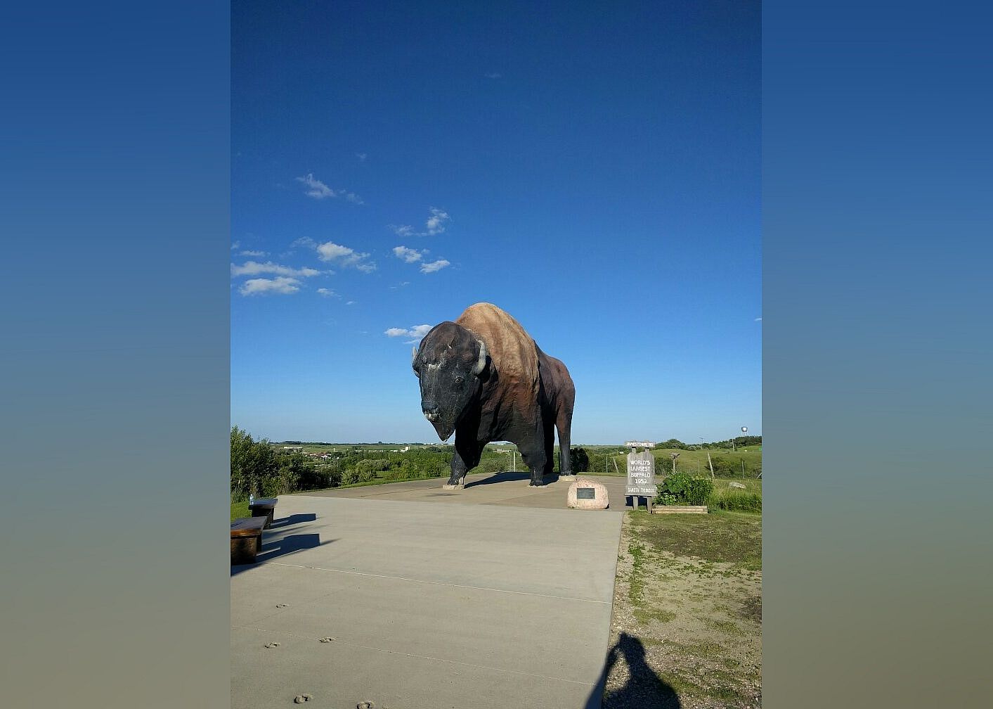 #18. National Buffalo Museum