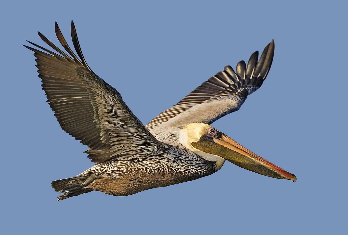 Louisiana