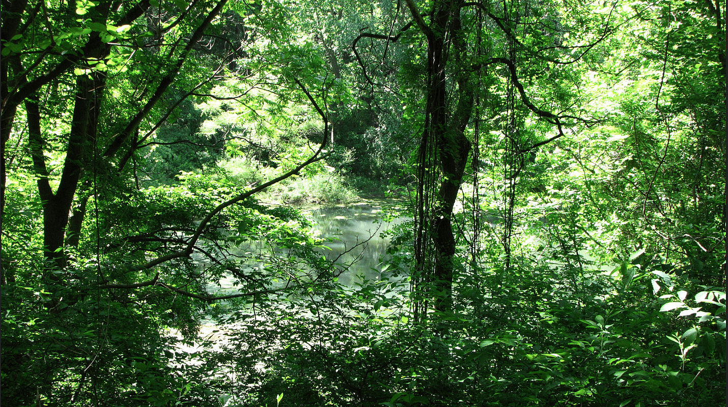 Pennsylvania: Schuylkill Center for Environmental Education, Philadelphia