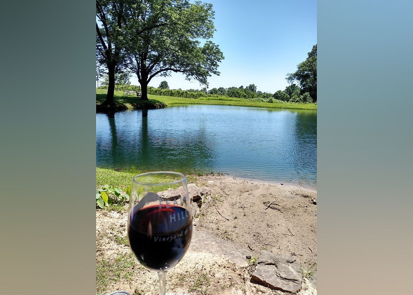 #25. Feather Hills Vineyard & Winery