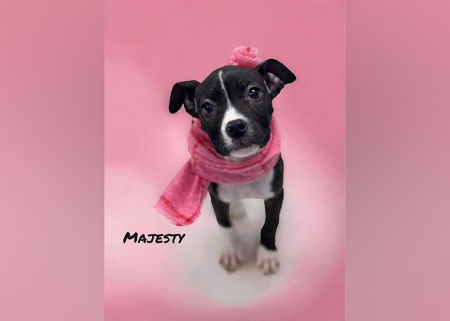 Majesty
