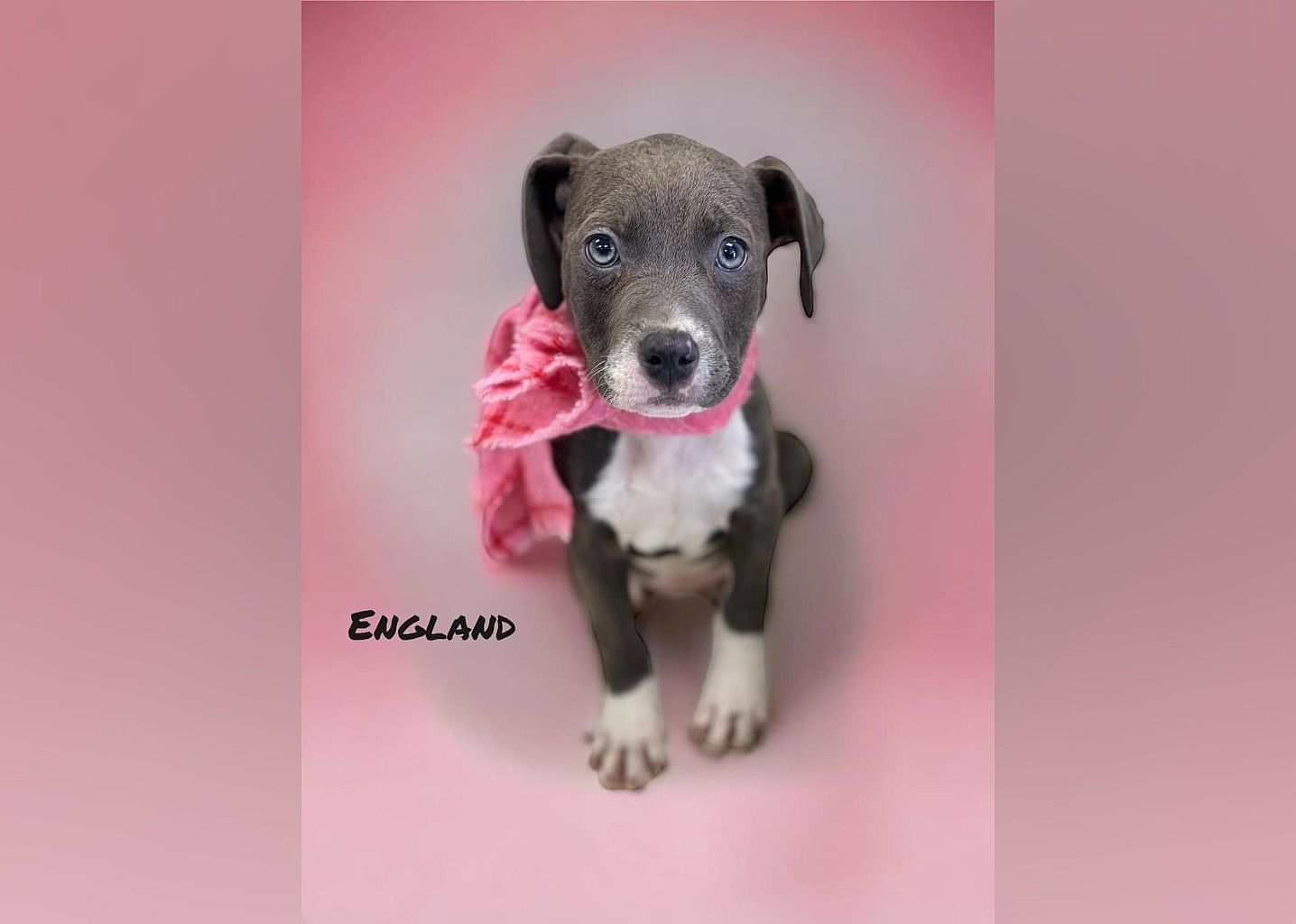 England