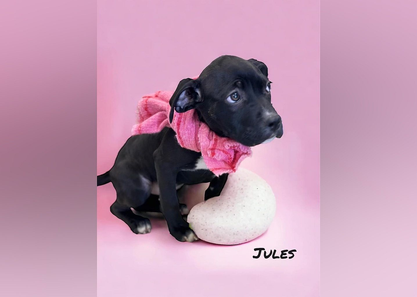 Jules