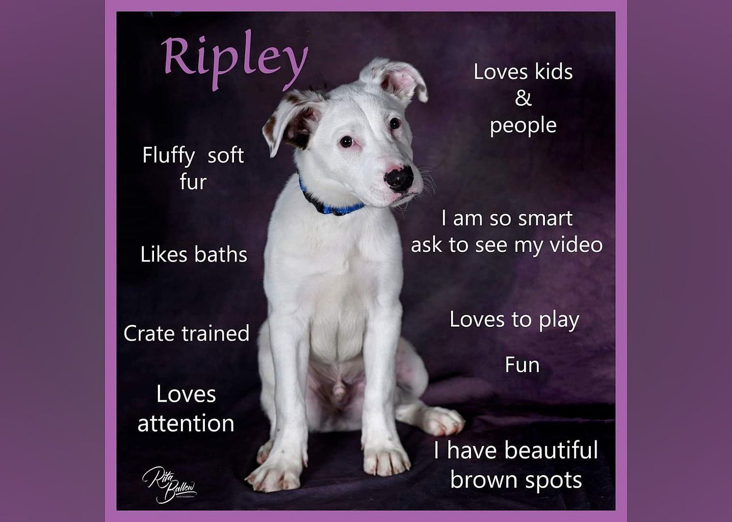 Ripley