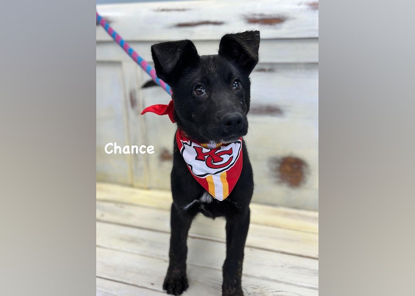 Chance