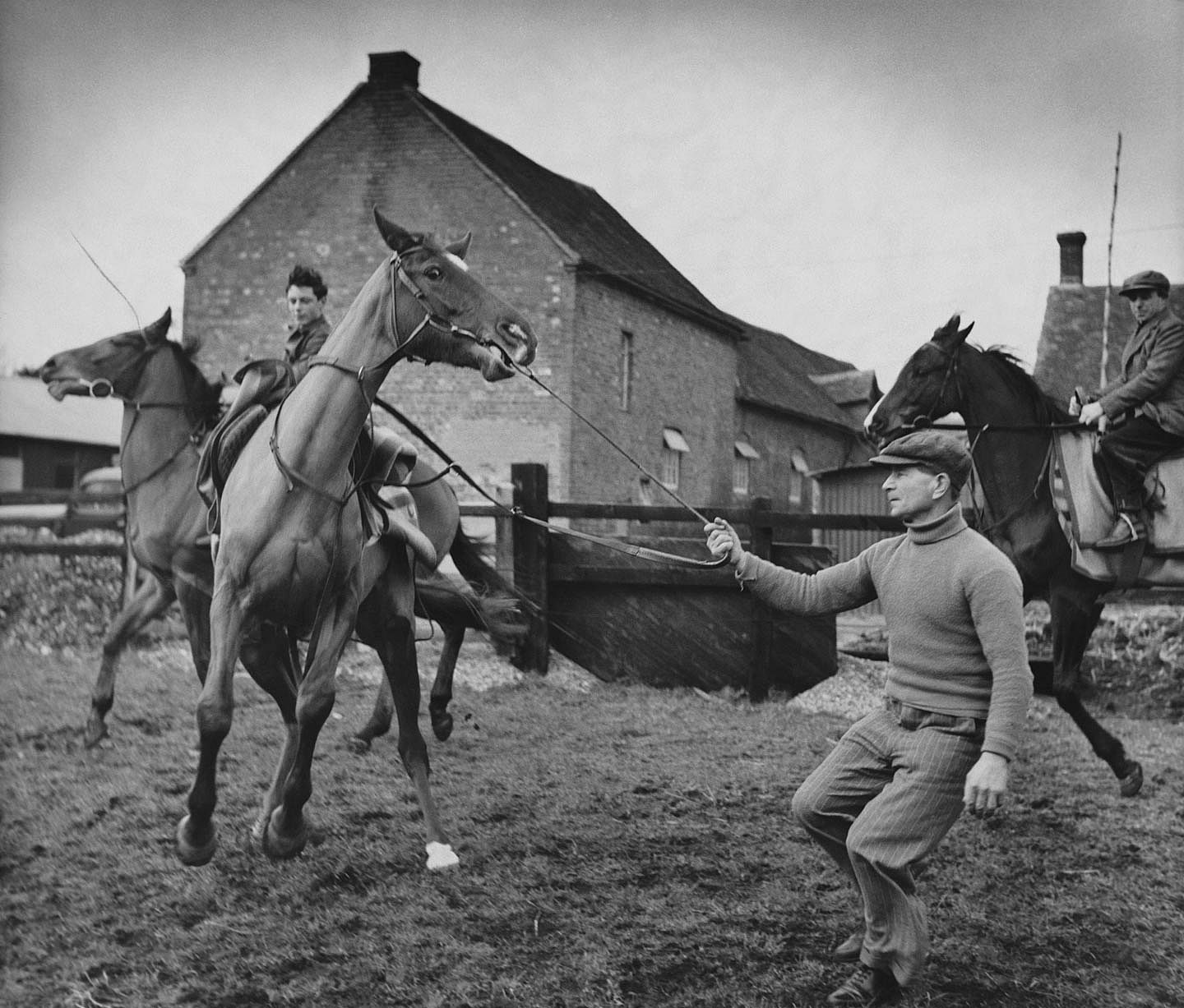 Horse trainer Frank Francis trying to calm a horse named Jasoda