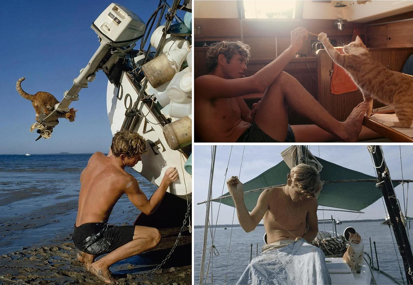 Collage of three photos of a teenager on a sailboat with his cat.