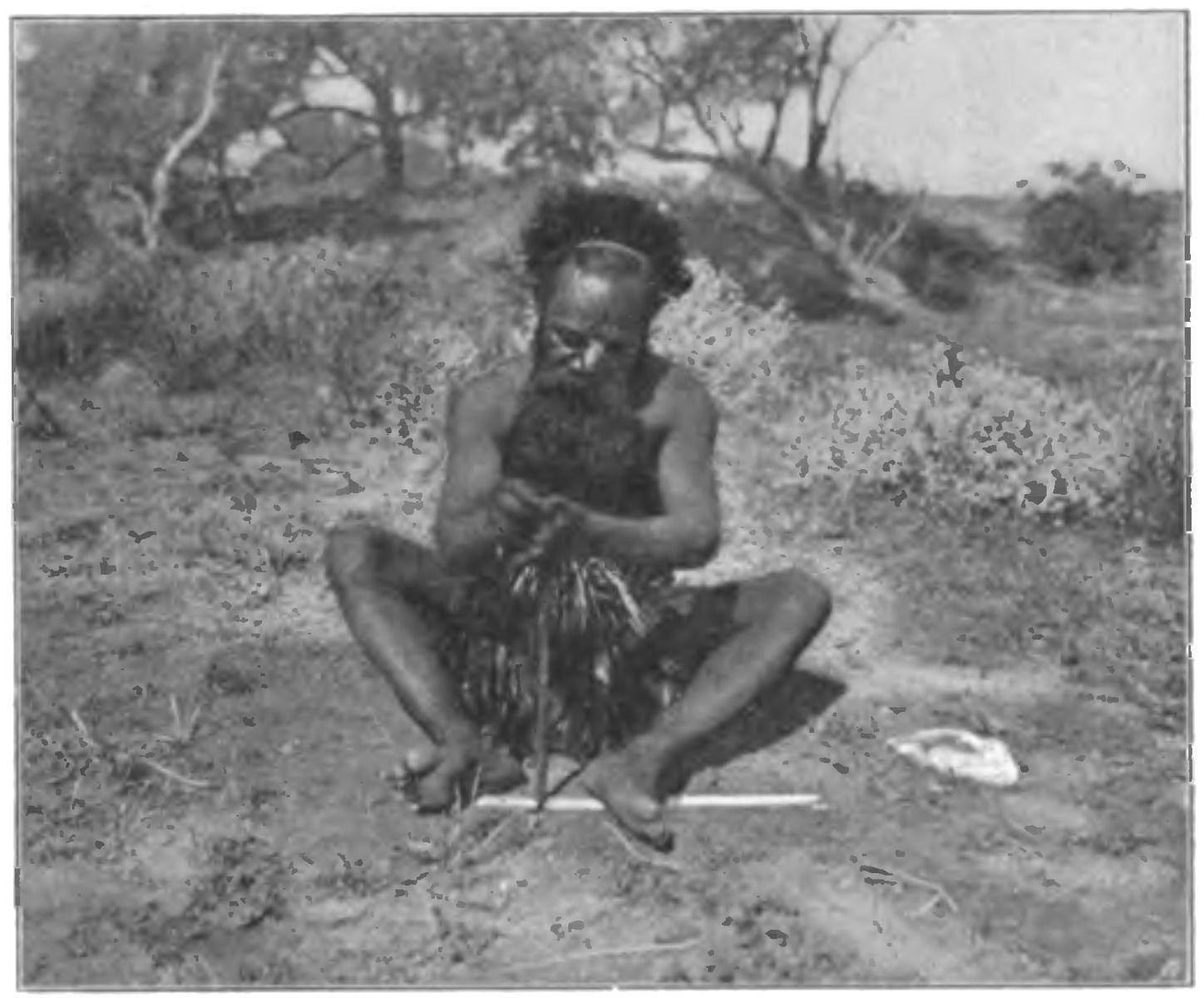 Arabana