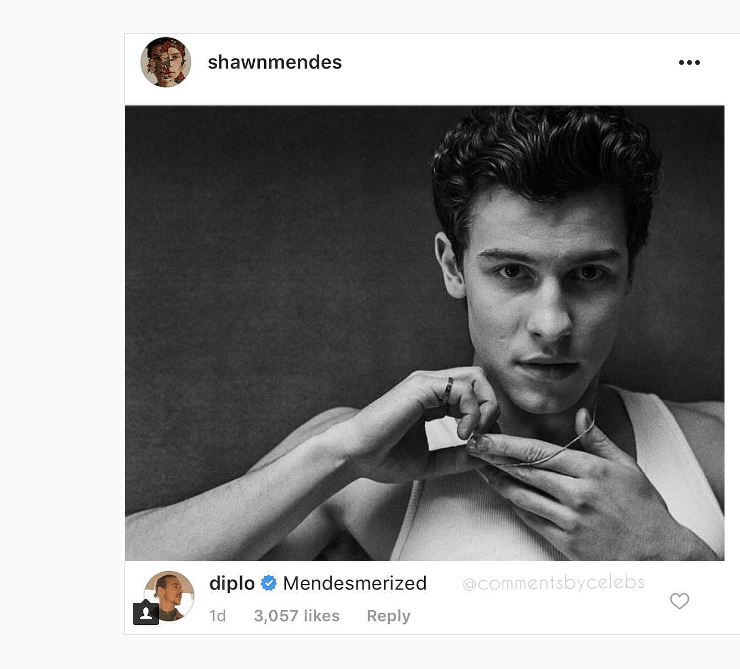 Diplo and Shawn Mendes