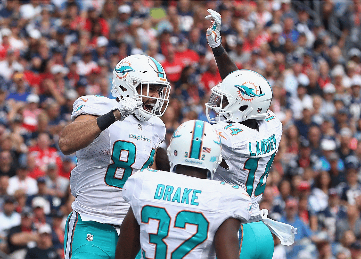 Miami Dolphins