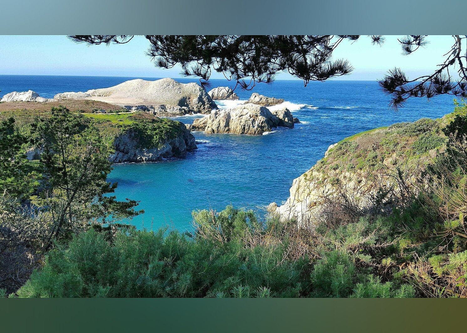 #17. Point Lobos