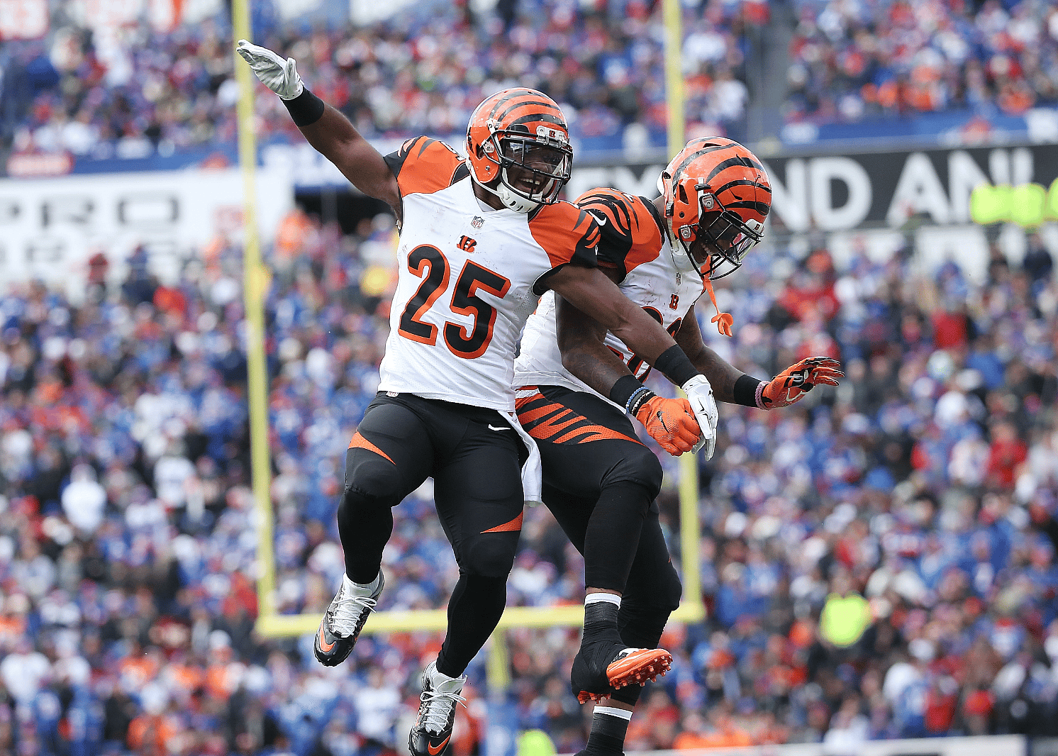 Cincinnati Bengals