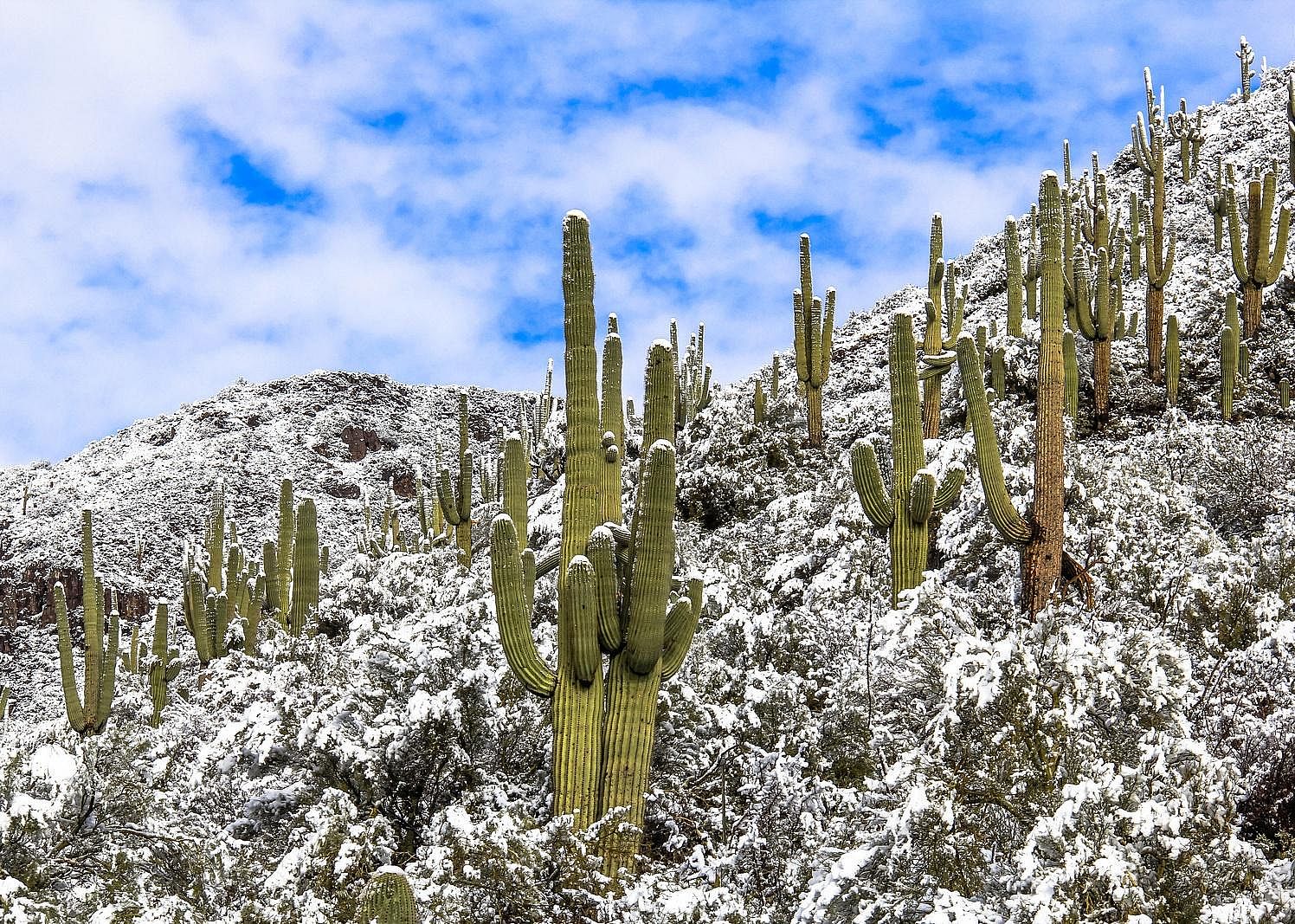 #55. Peoria, Arizona