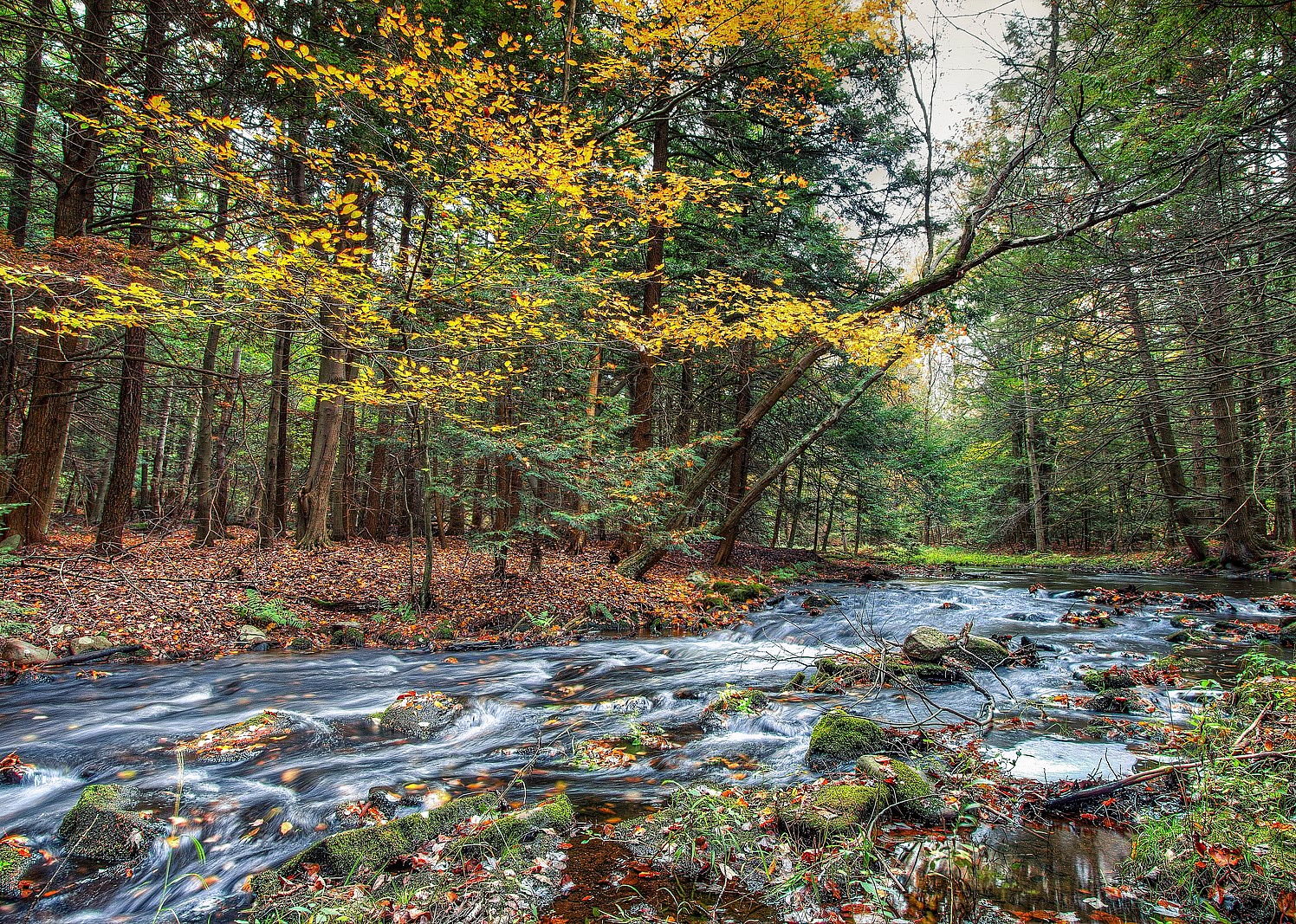 #17. Sullivan County
