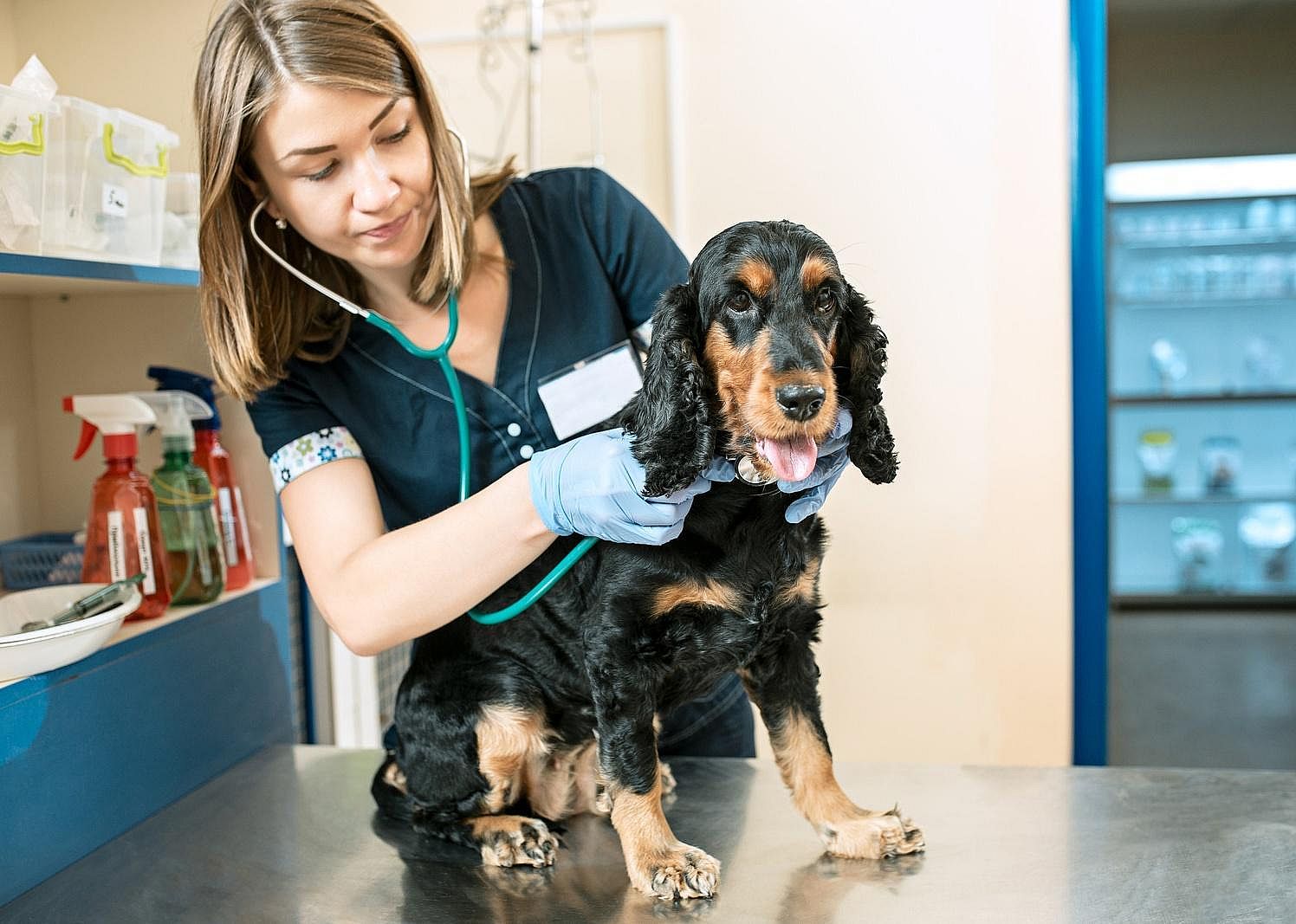 #19. Veterinarians