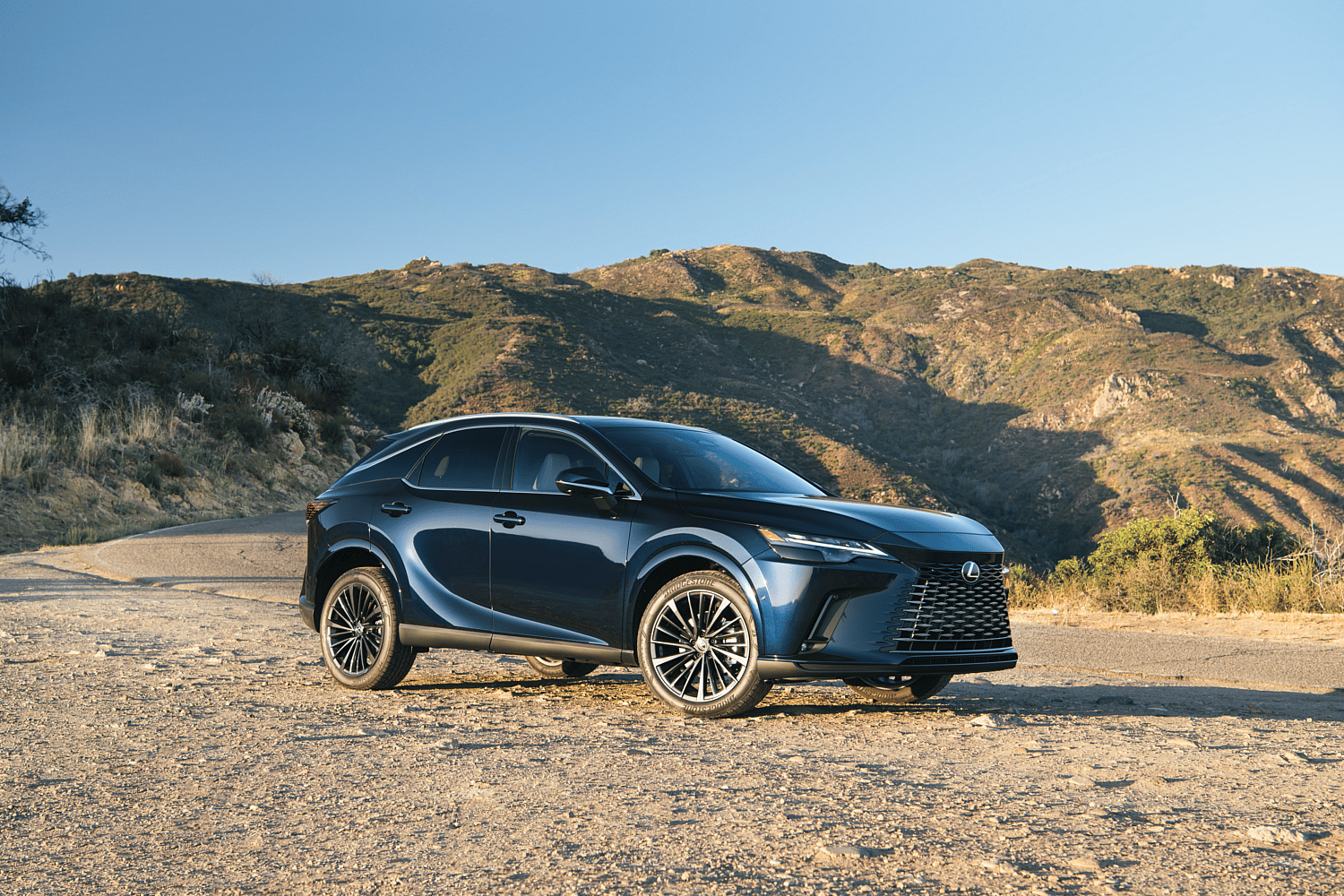 Blue Lexus RX parked on dirt.