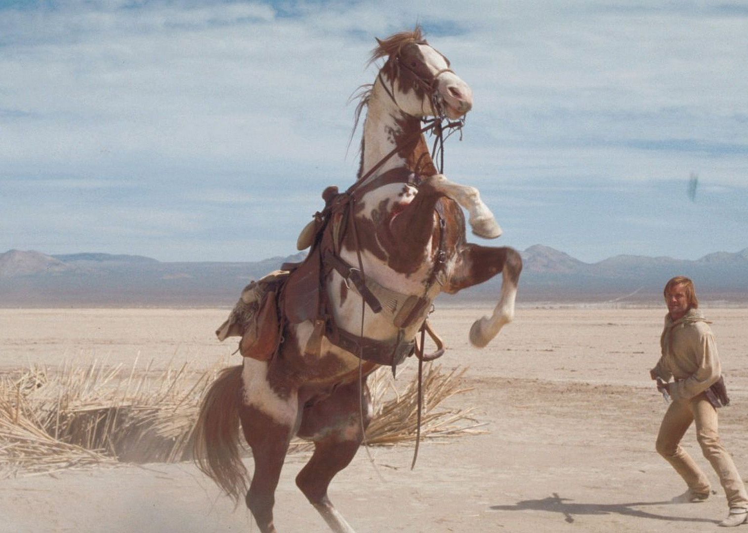 #11. Hidalgo (2004)