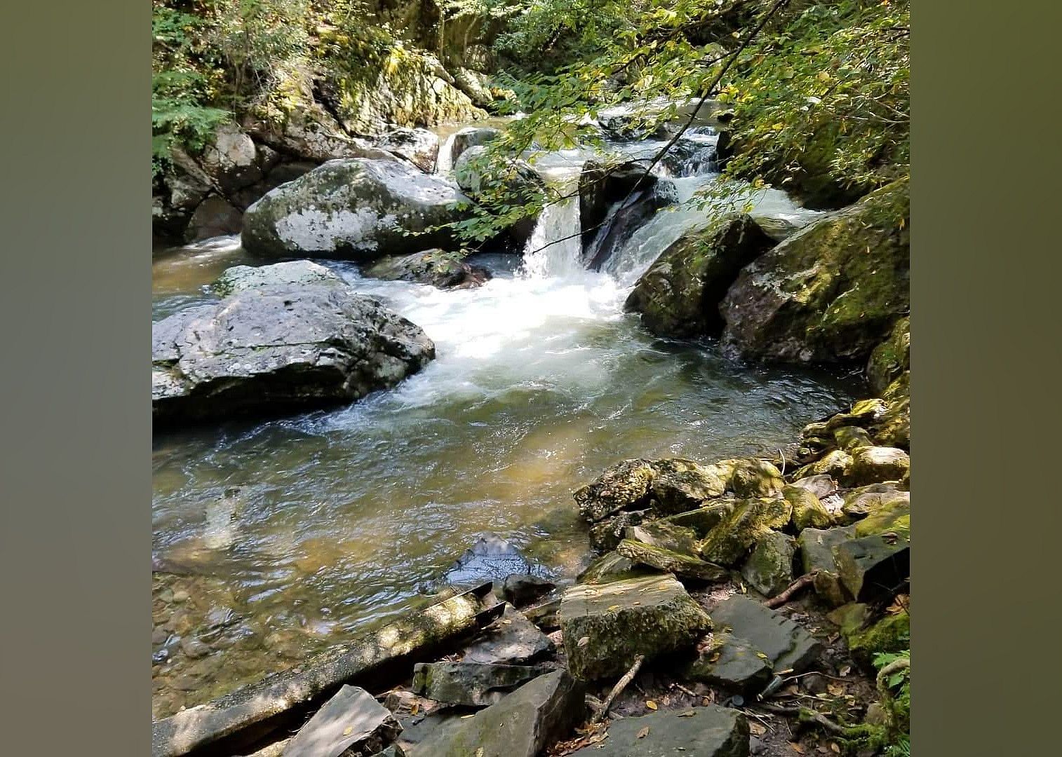 #20. Virginia Creeper Trail