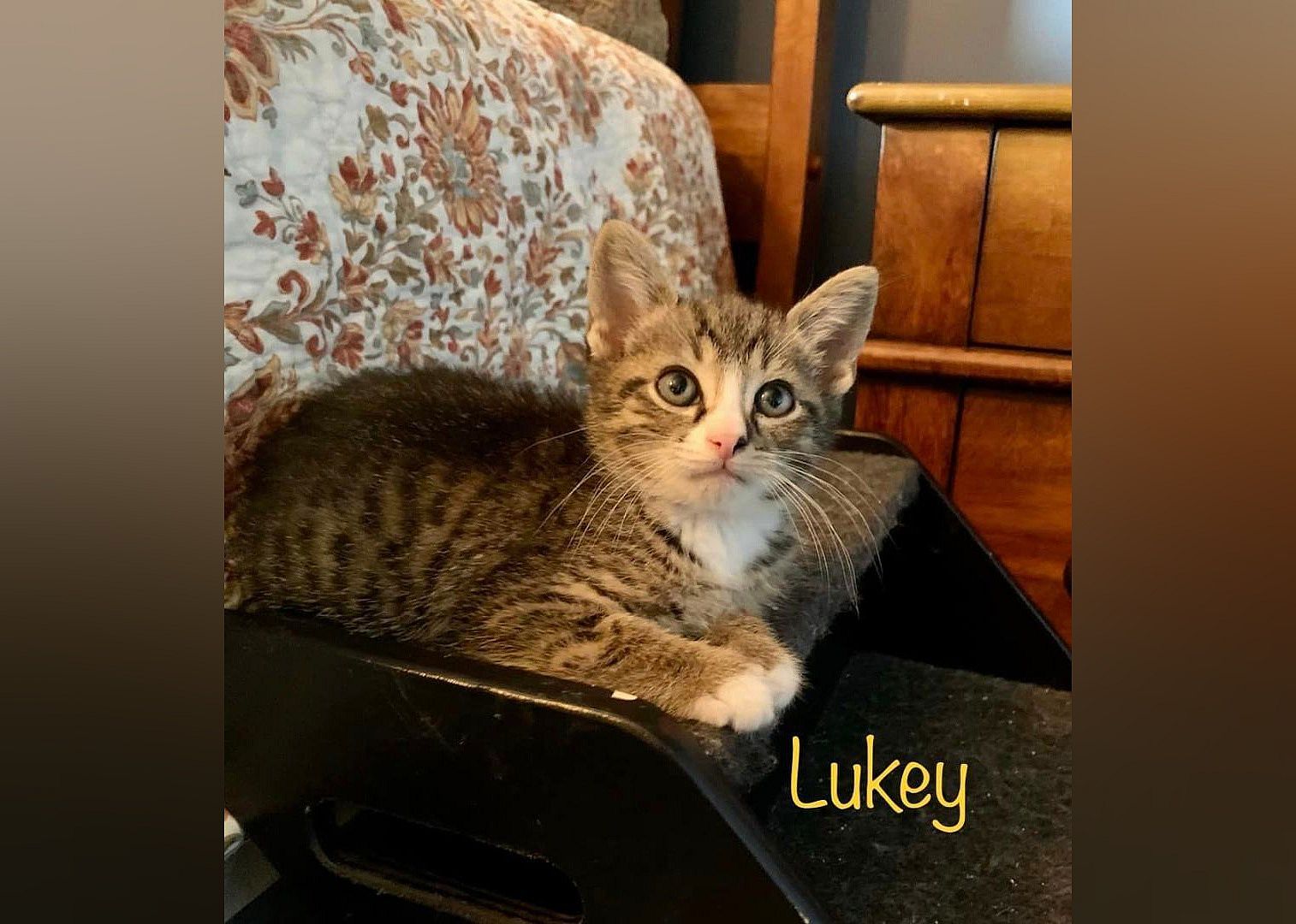 Lukey