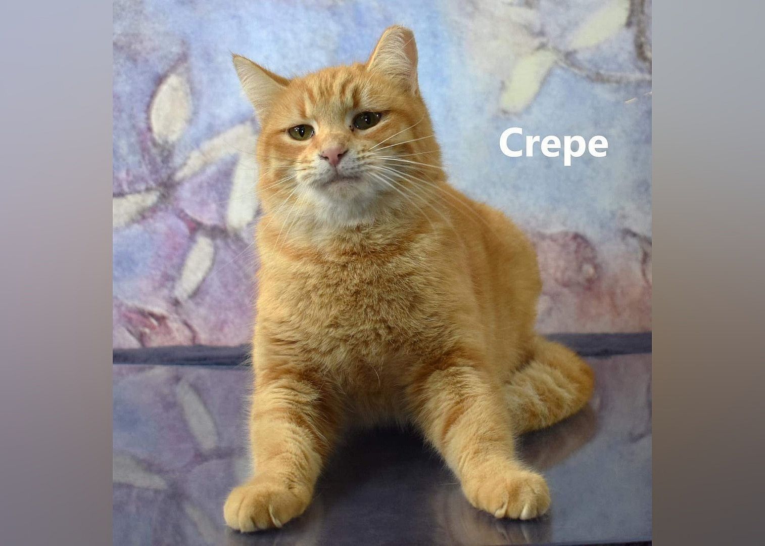 CREPE