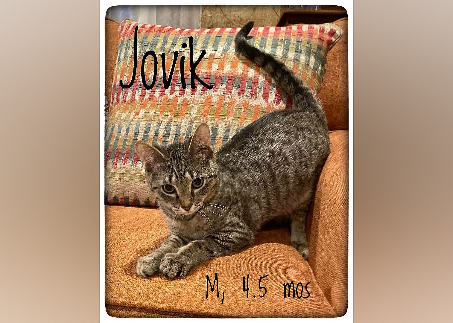 Jovik