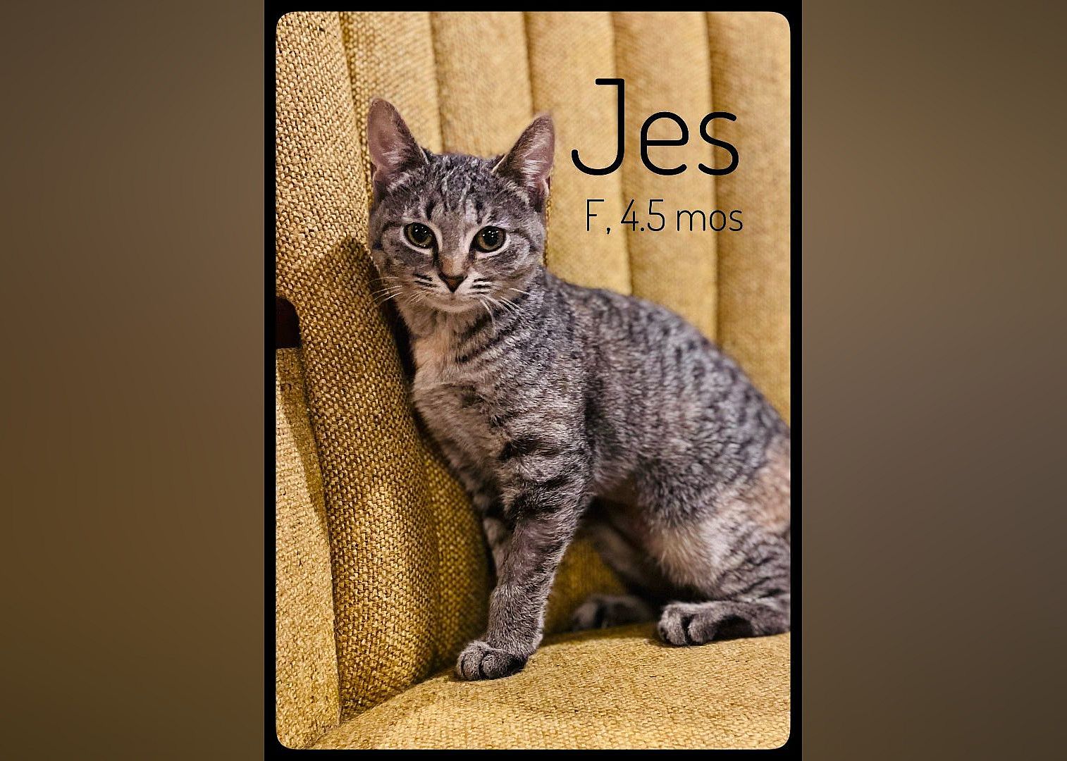 Jes