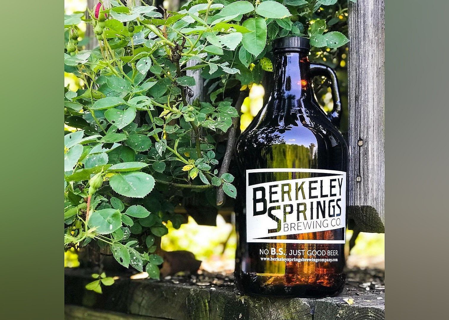 #5. Berkeley Springs Brewing Co