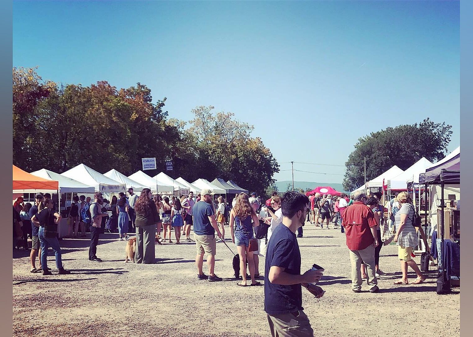 #21. Burlington Farmers Market