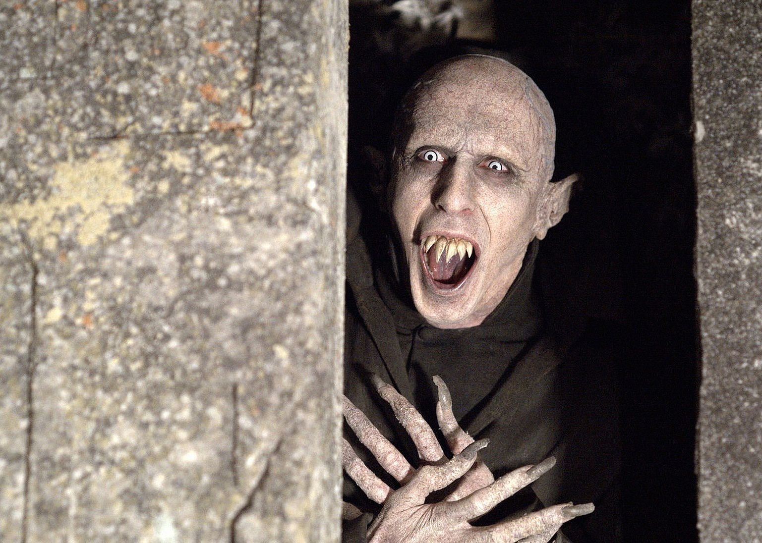#40. What We Do in the Shadows (2014)
