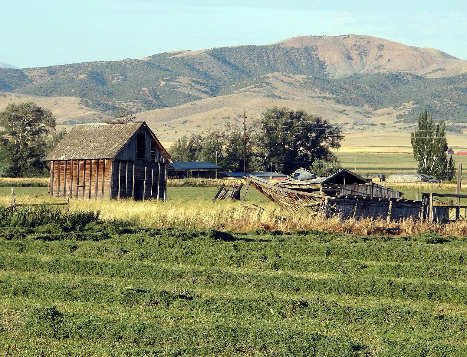 #46. Utah