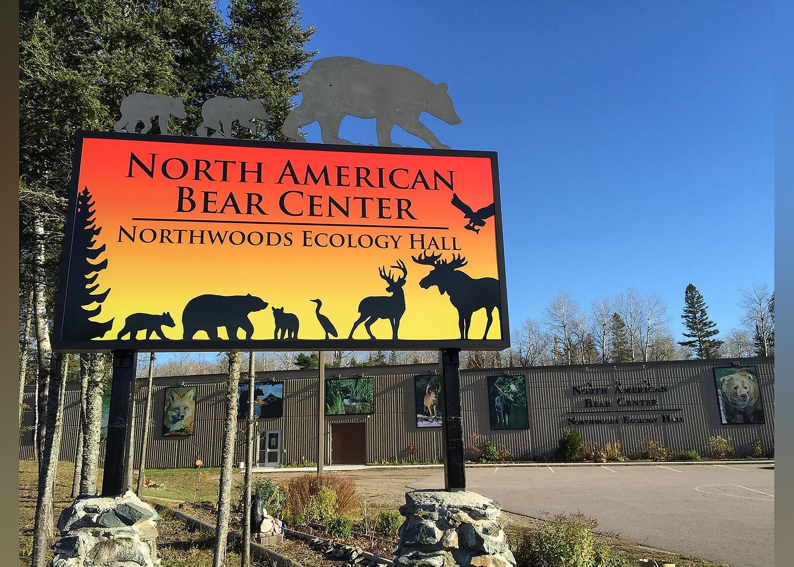 #7. North American Bear Center
