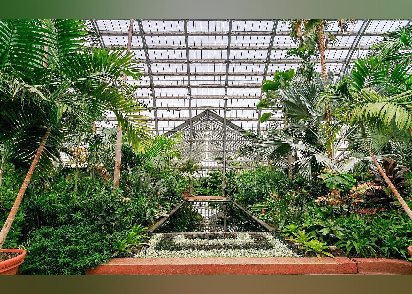 #7. Garfield Park Conservatory
