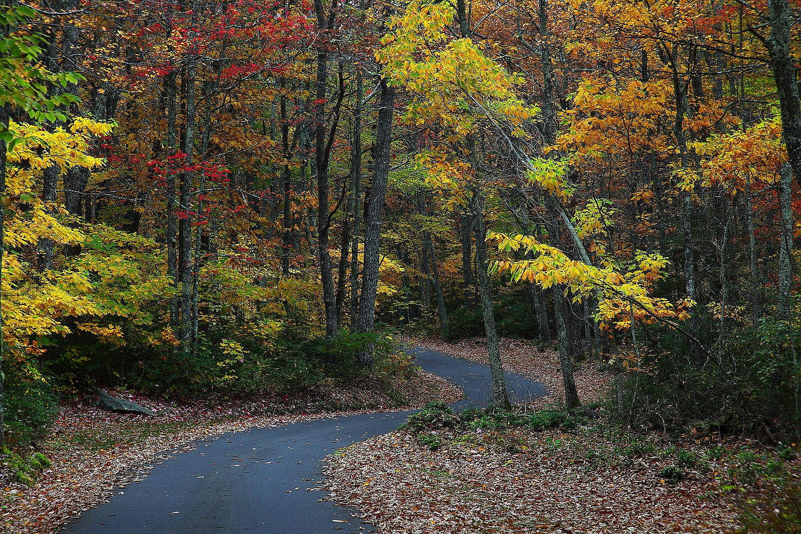 West Virginia: Sam Michael’s Park, Charles Town
