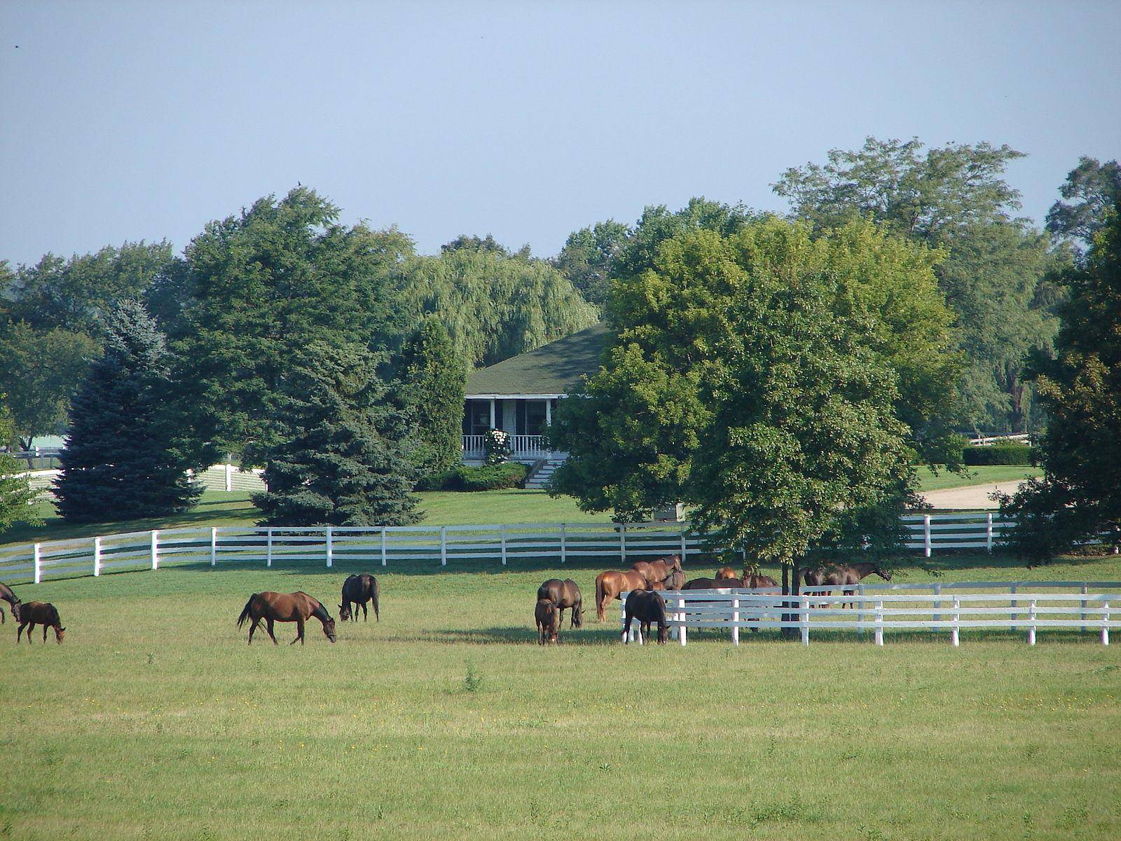 #22. Barrington Hills