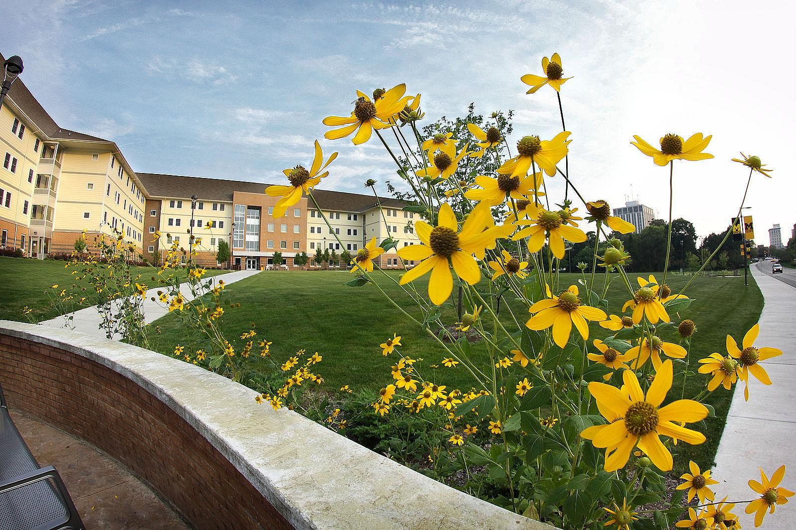 #50. University of Michigan-Flint