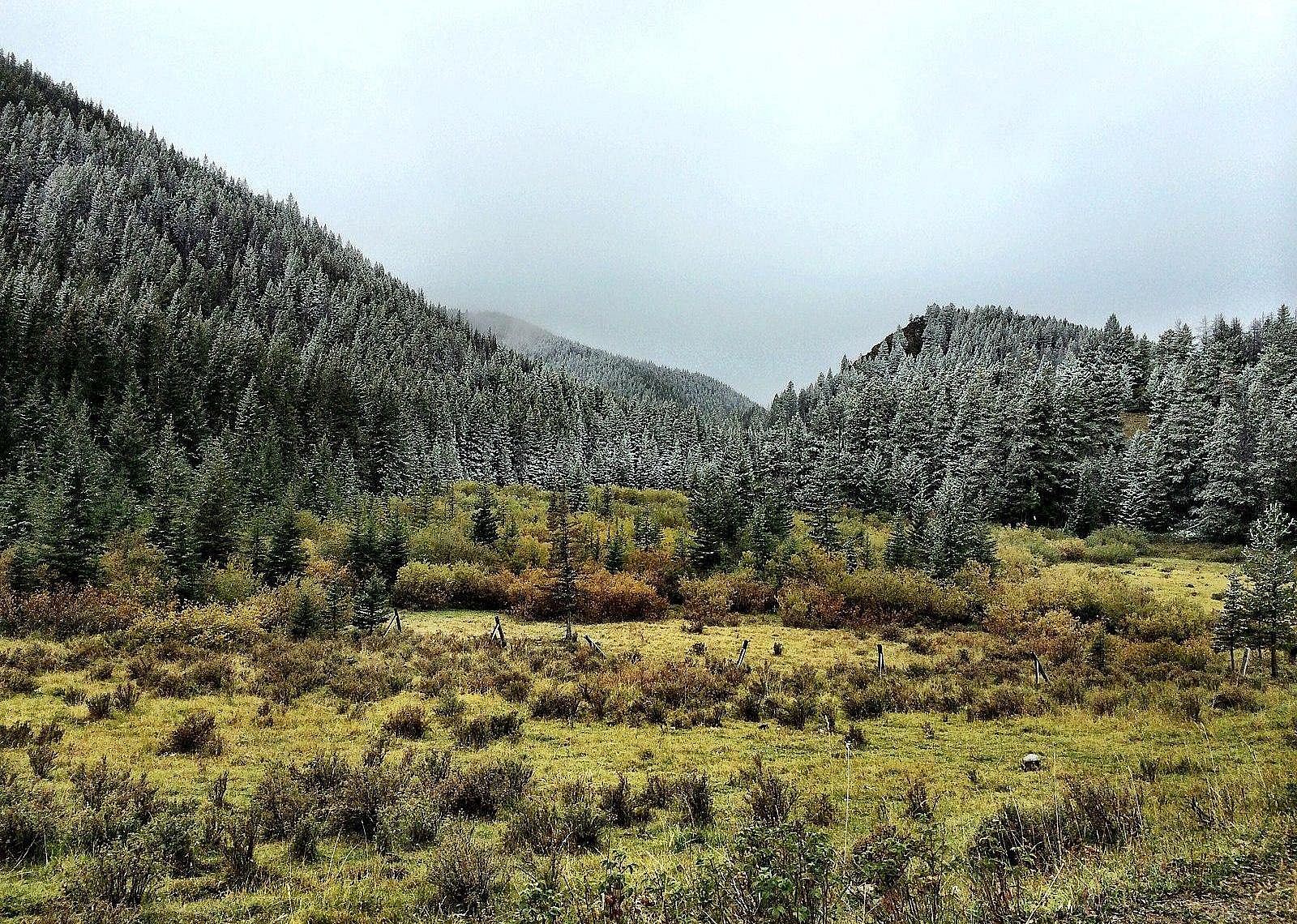 #39. Montana