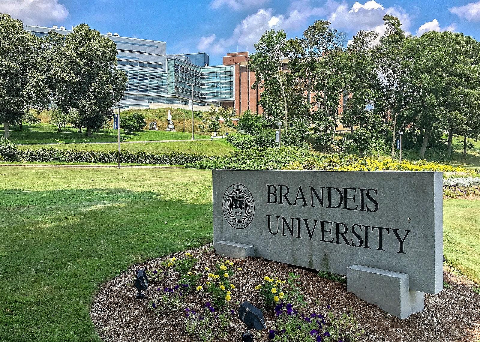 #82. Brandeis University