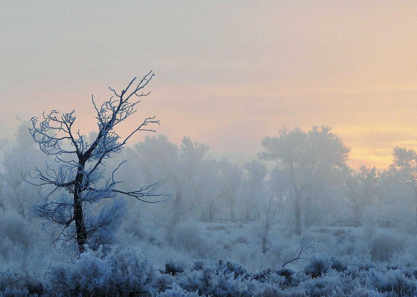 #43. Wyoming