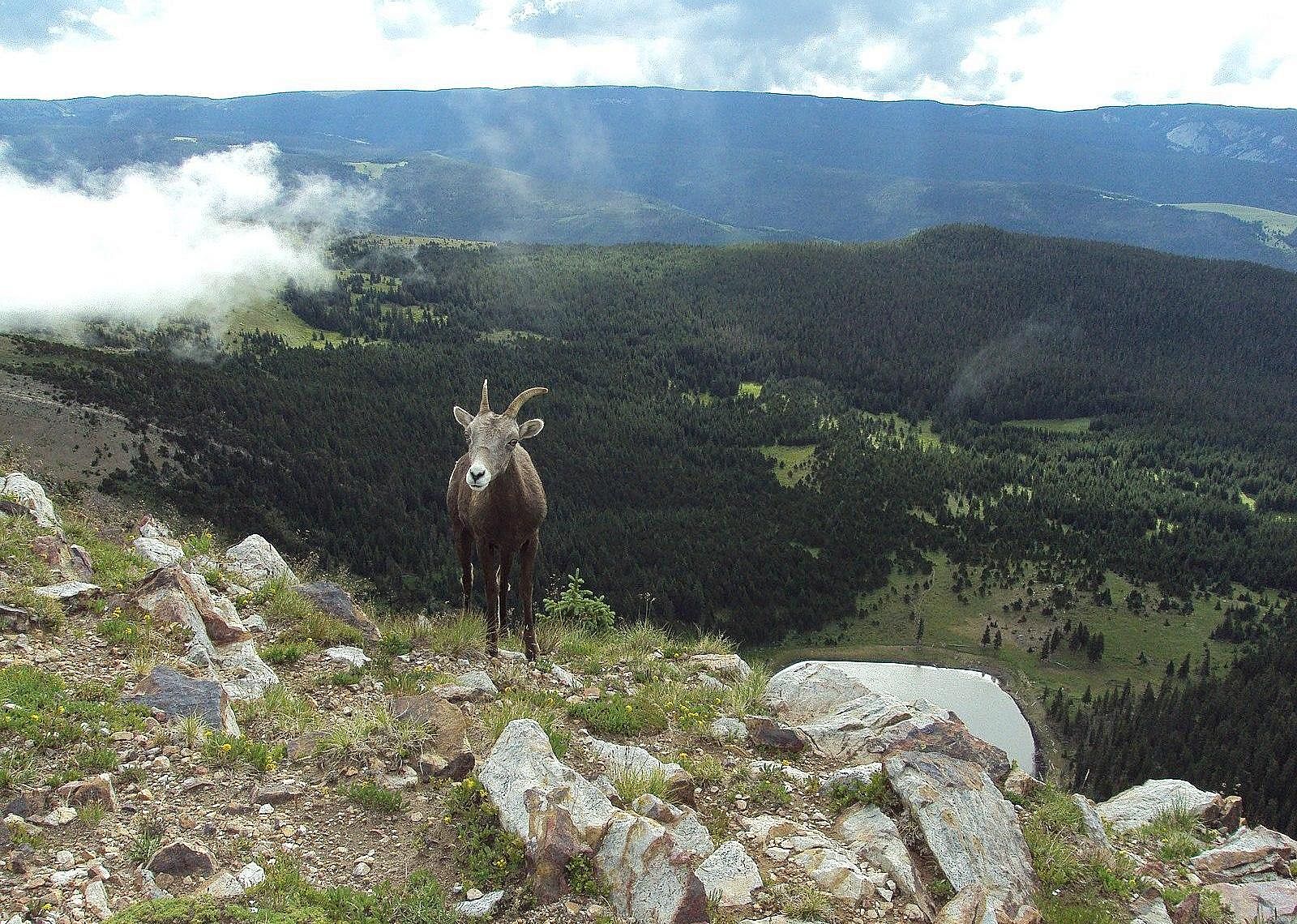 #36. New Mexico
