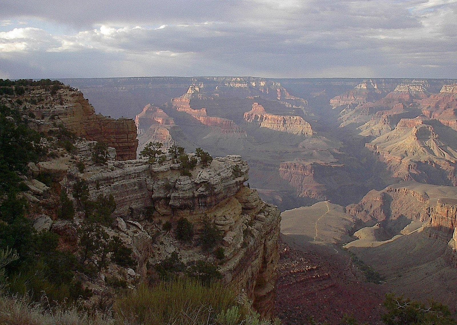 #41. Arizona