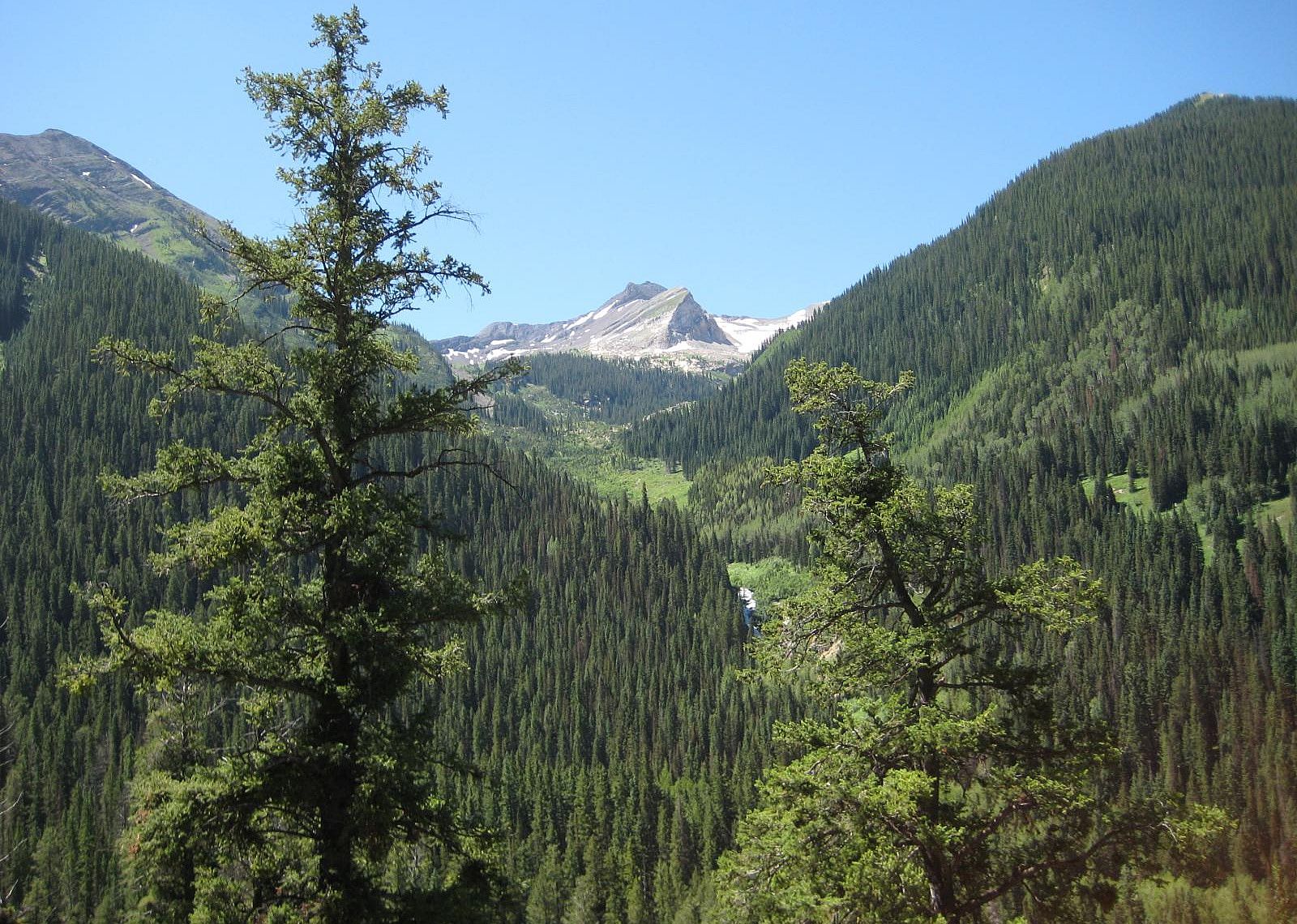 #14. Gunnison County